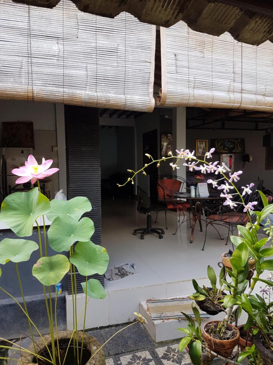 坎古玛娃旅馆酒店 外观 照片
