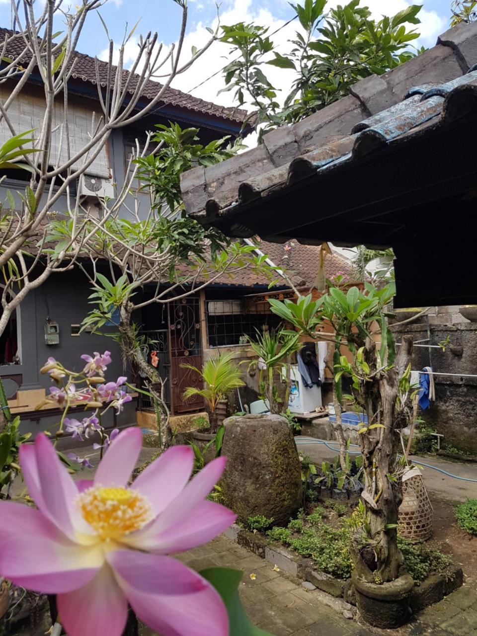 坎古玛娃旅馆酒店 外观 照片